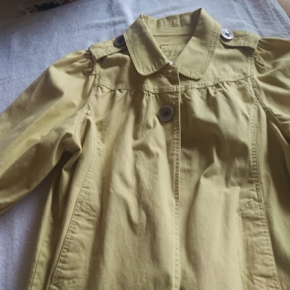 Artists coat